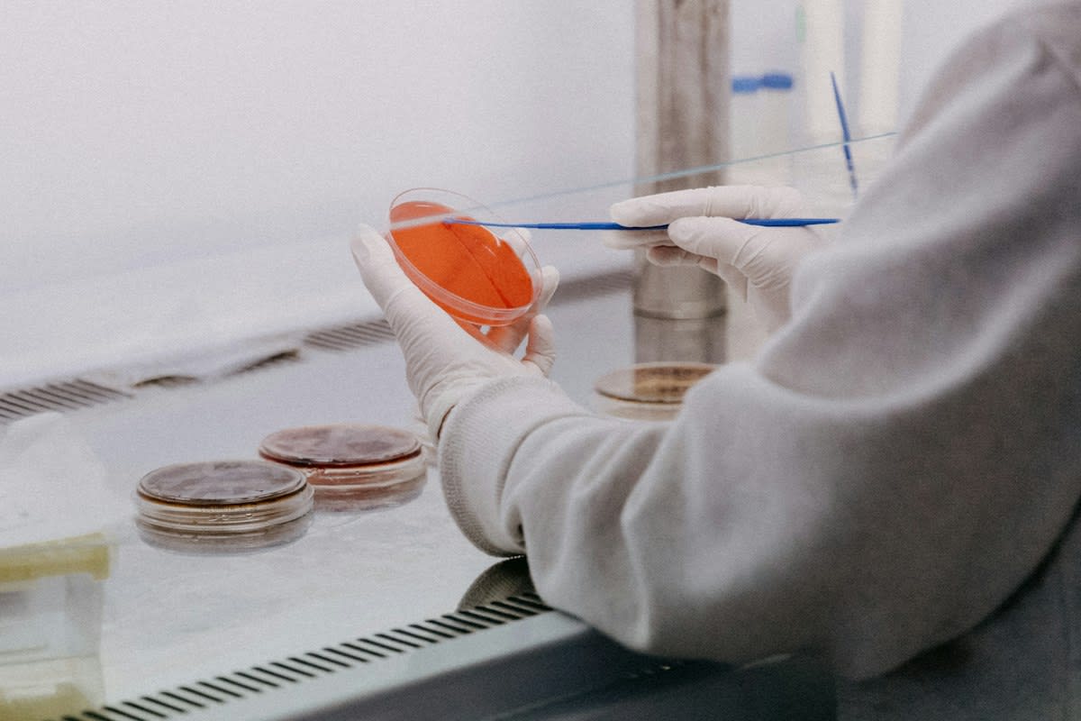 Laboratory analysis of plant extracts