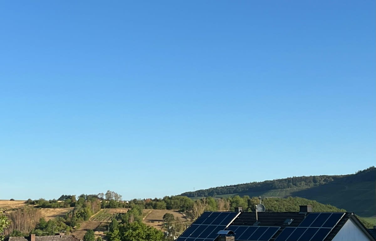 Solar panels over a vineyard