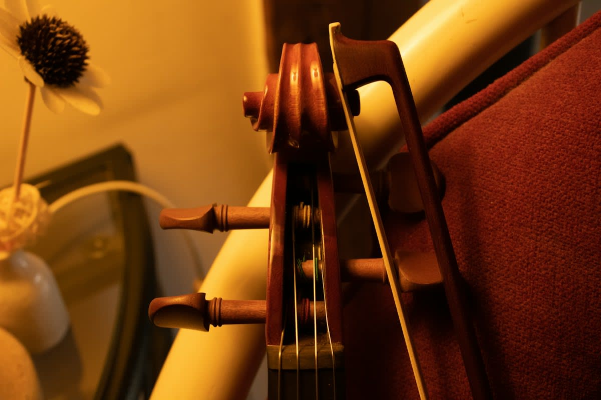 Cello detail close up