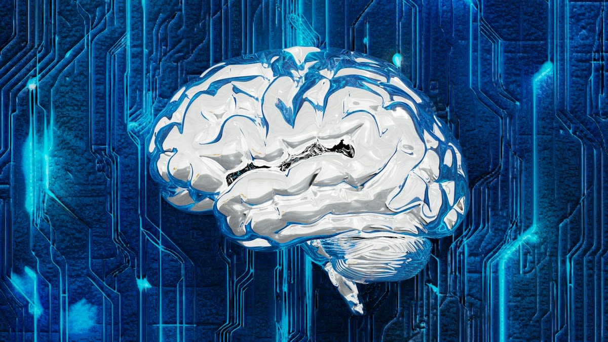 Human brain and digital circuitry