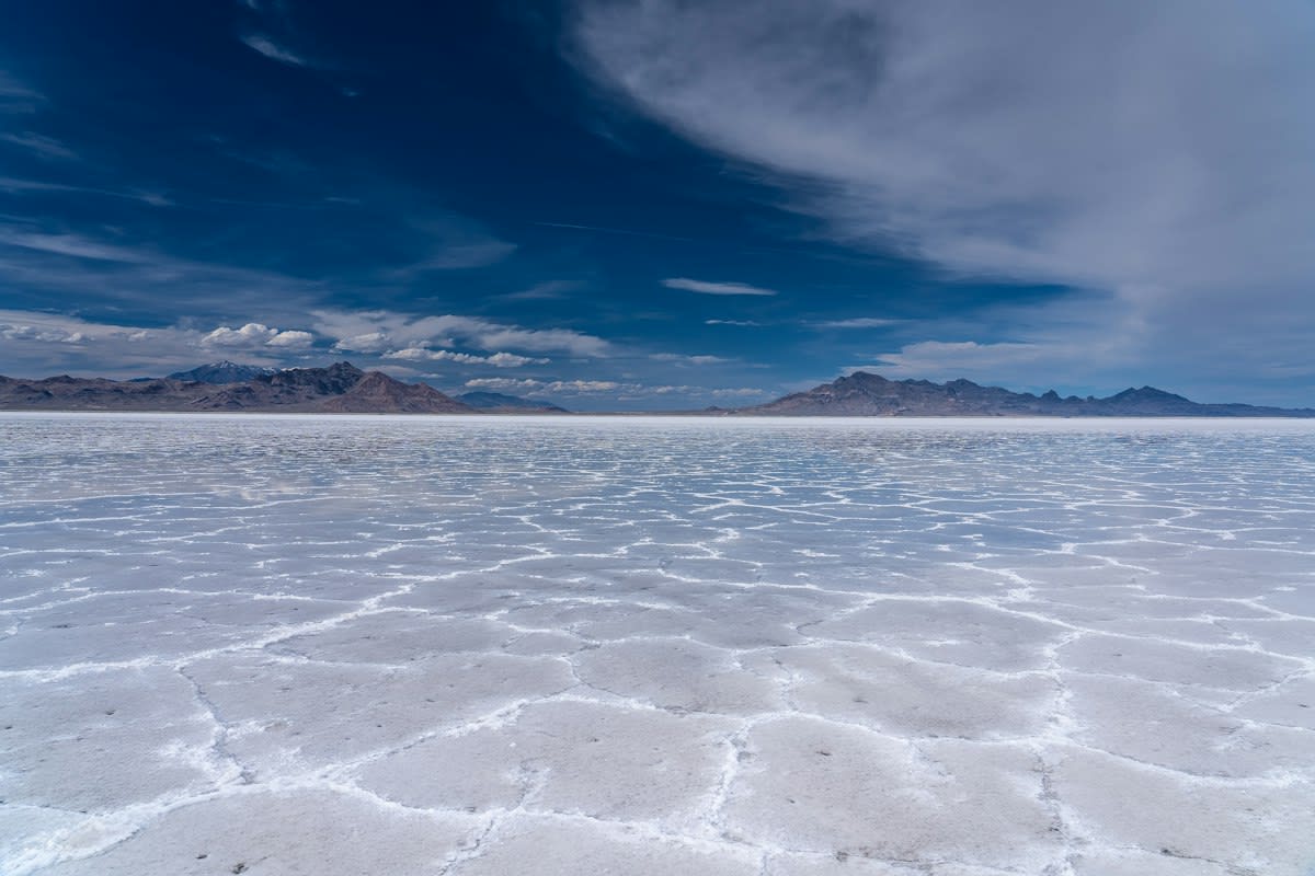 Salt flats with sparse vegetation