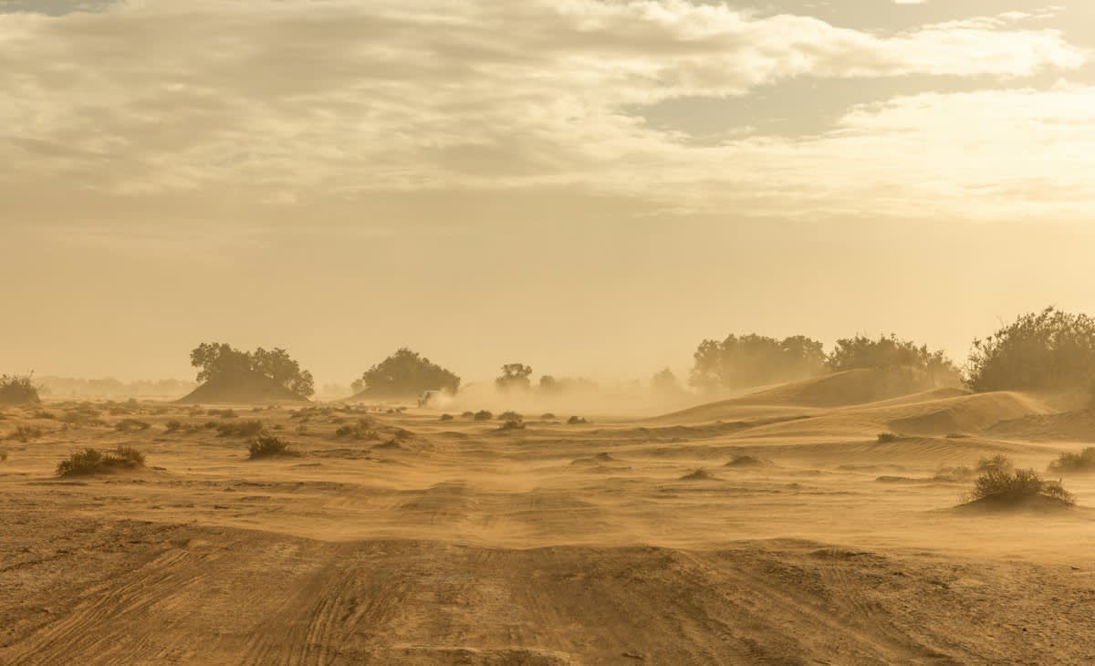 Arid desert landscape with fog nets