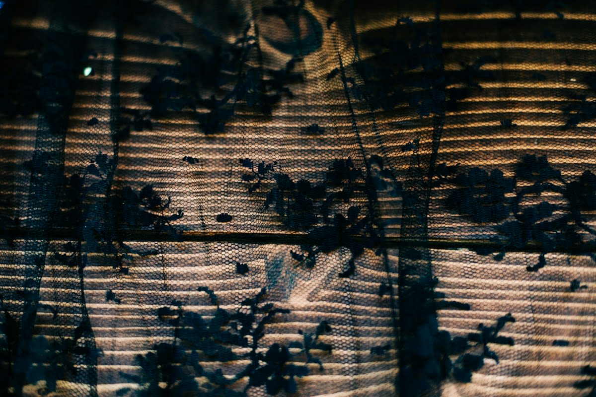 Dried edible insects on a wooden table