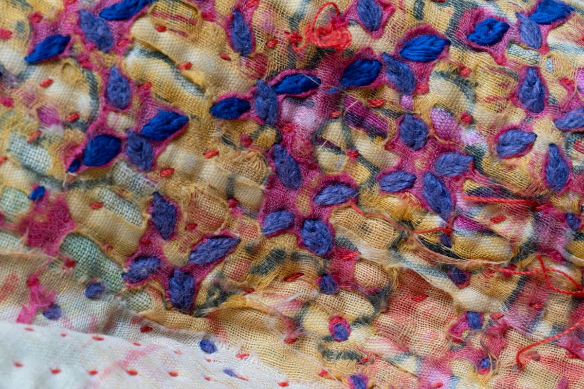 Close up of lab grown tissue