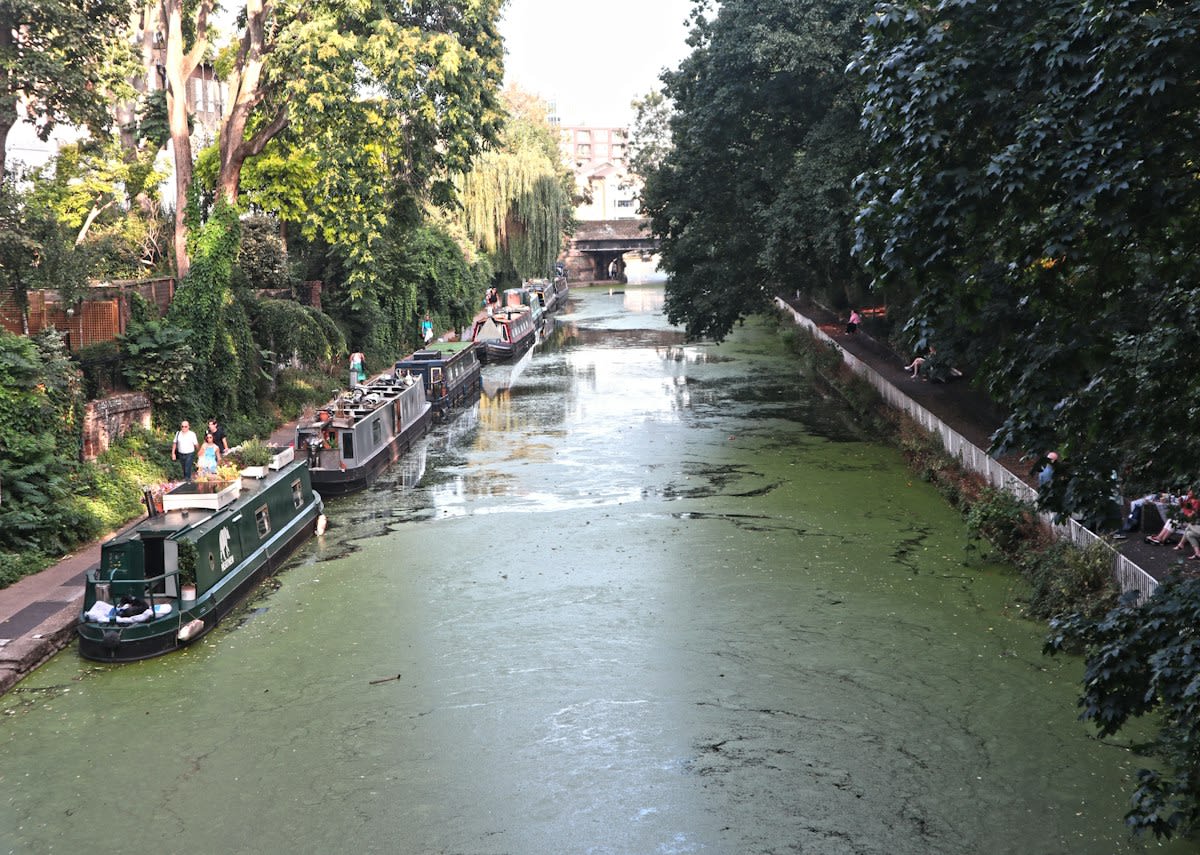 Cargo ships in a narrow canal