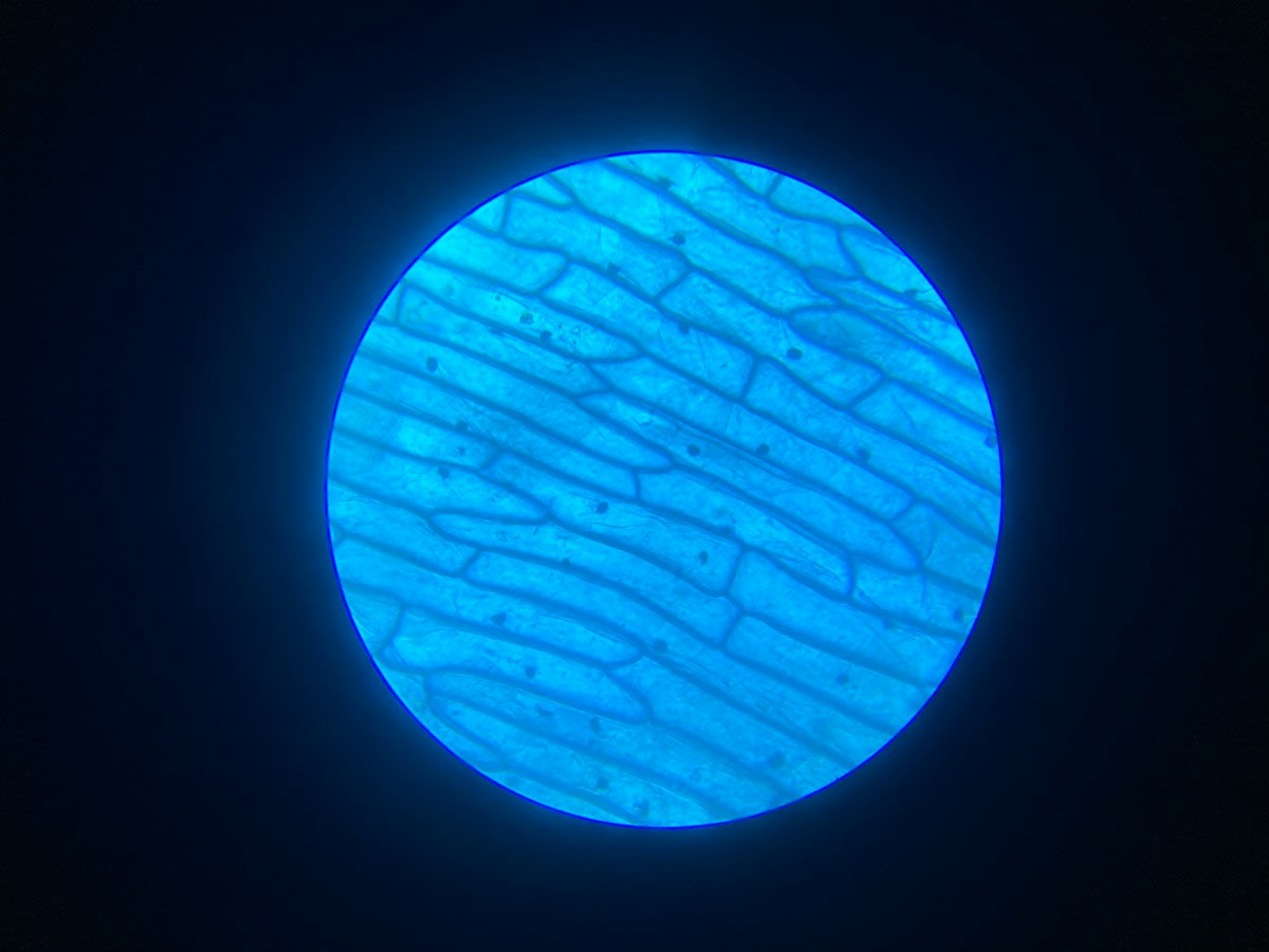 Microscopic view of sodium ion flow in a ceramic membrane