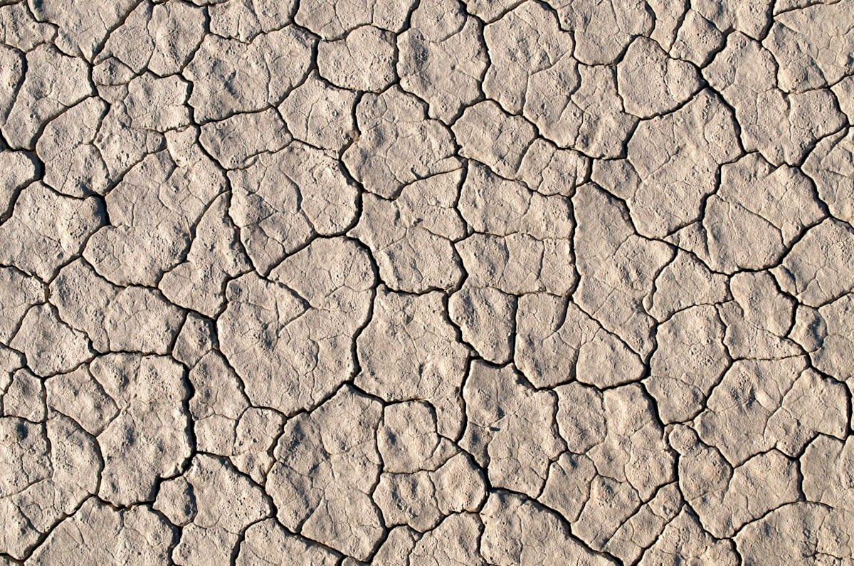 Dry cracked earth with white salt crust