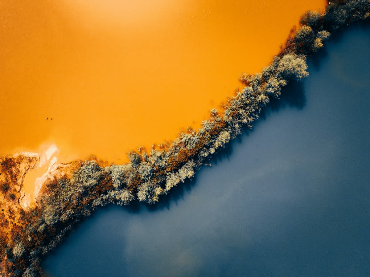 Industrial tailings pond waste