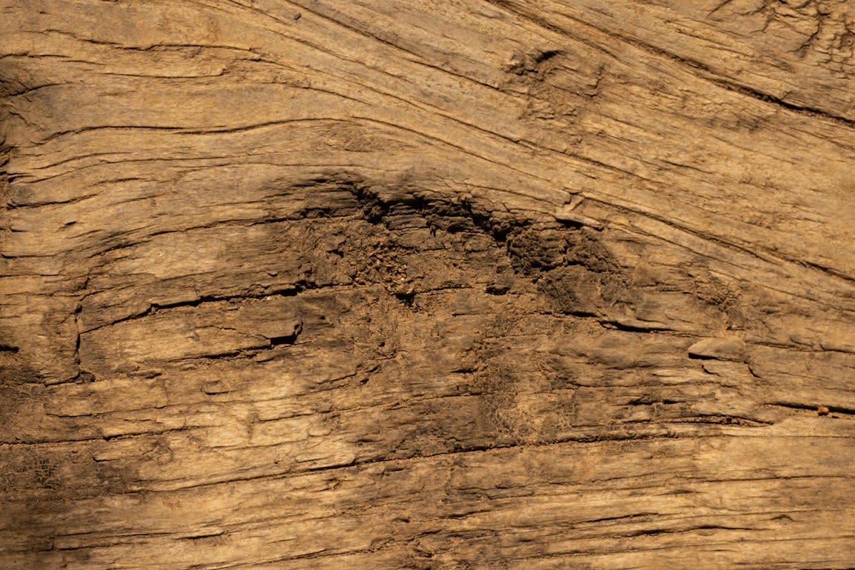 dried clay powder on a wooden surface