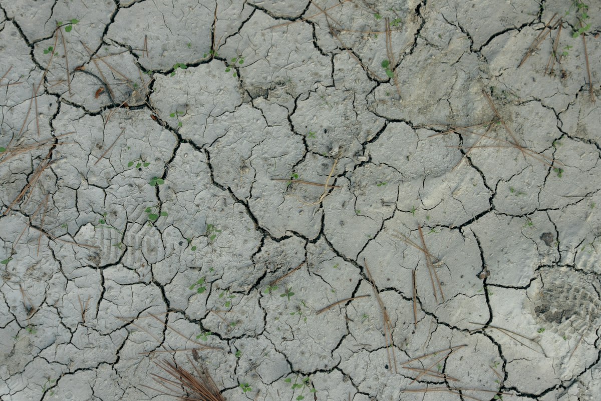 arid soil landscape