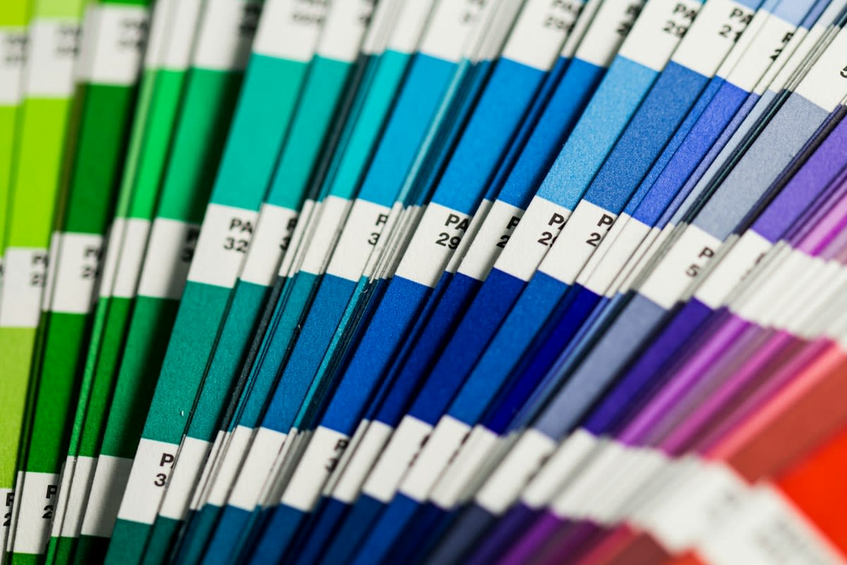 Color palette swatches on a screen