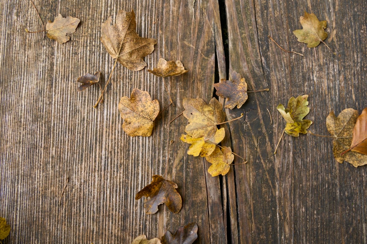 Dried fruit peels on a wooden surface