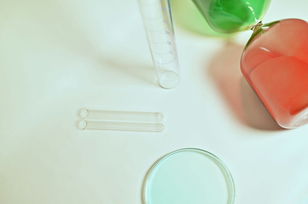 laboratory petri dish