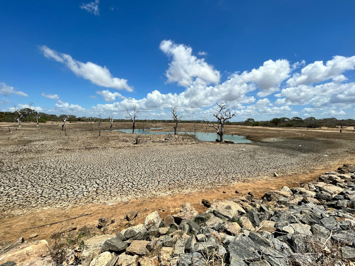 dry stack tailings filtration