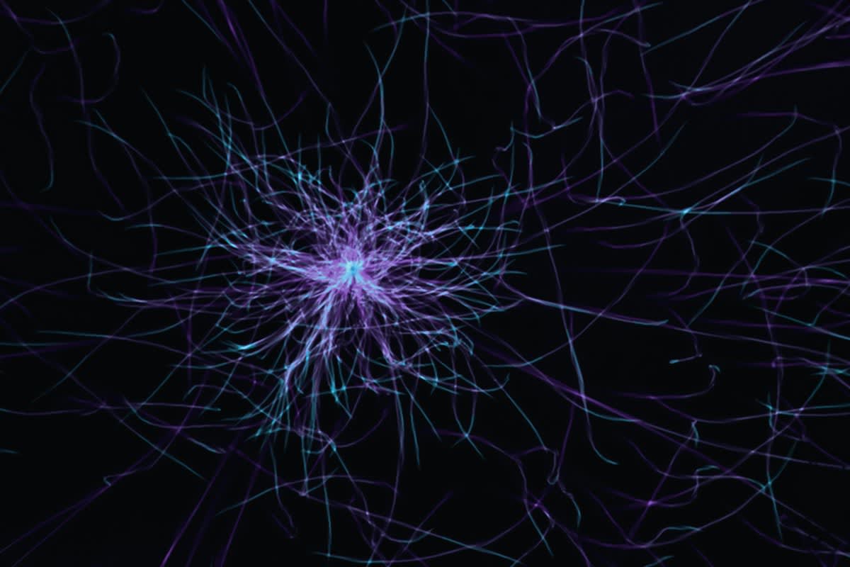 abstract neural network electrical discharge