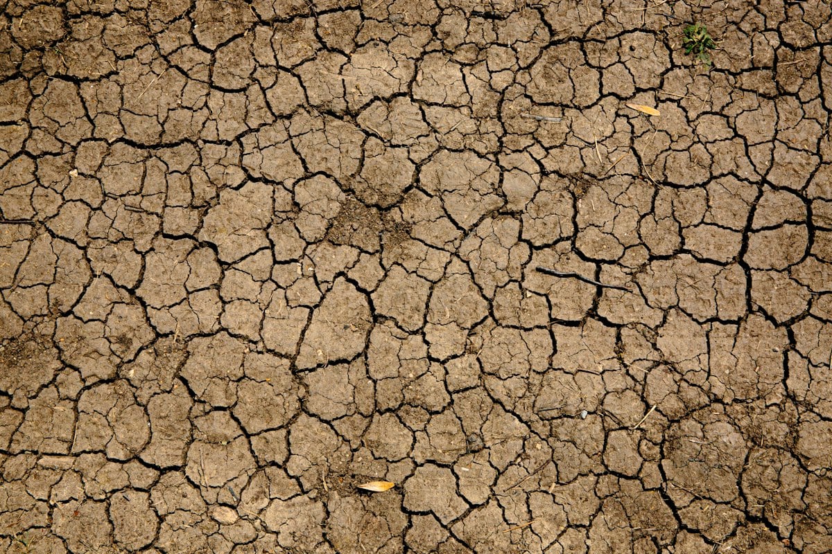 dry cracked earth