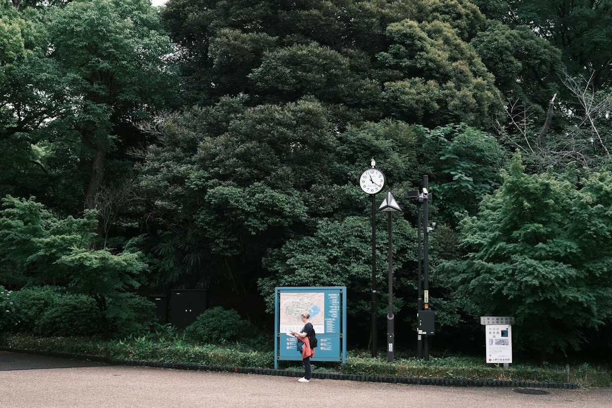 Elderly Japanese people exercising in a park