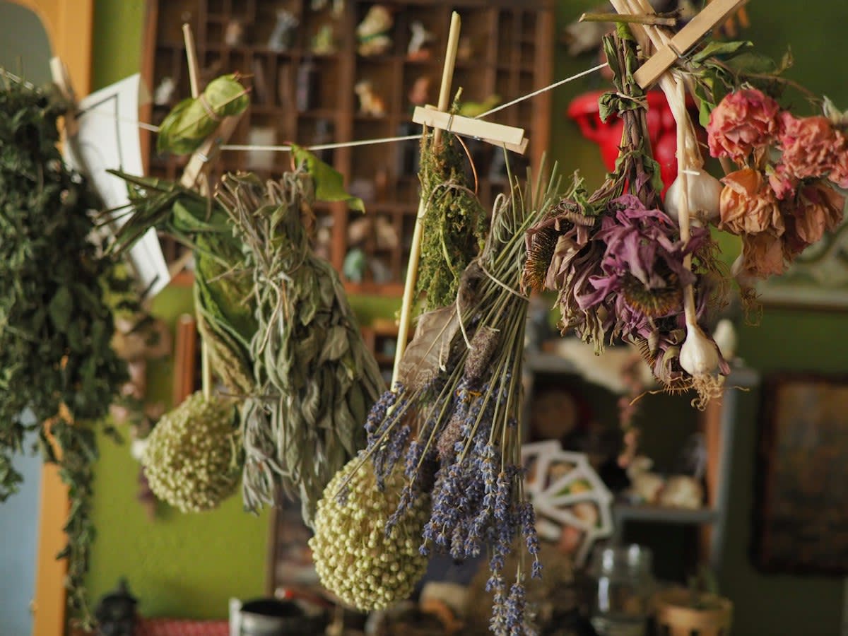 Ancient herbal manuscripts and dried plants