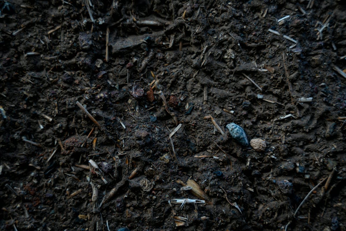 Hands gardening in dark soil