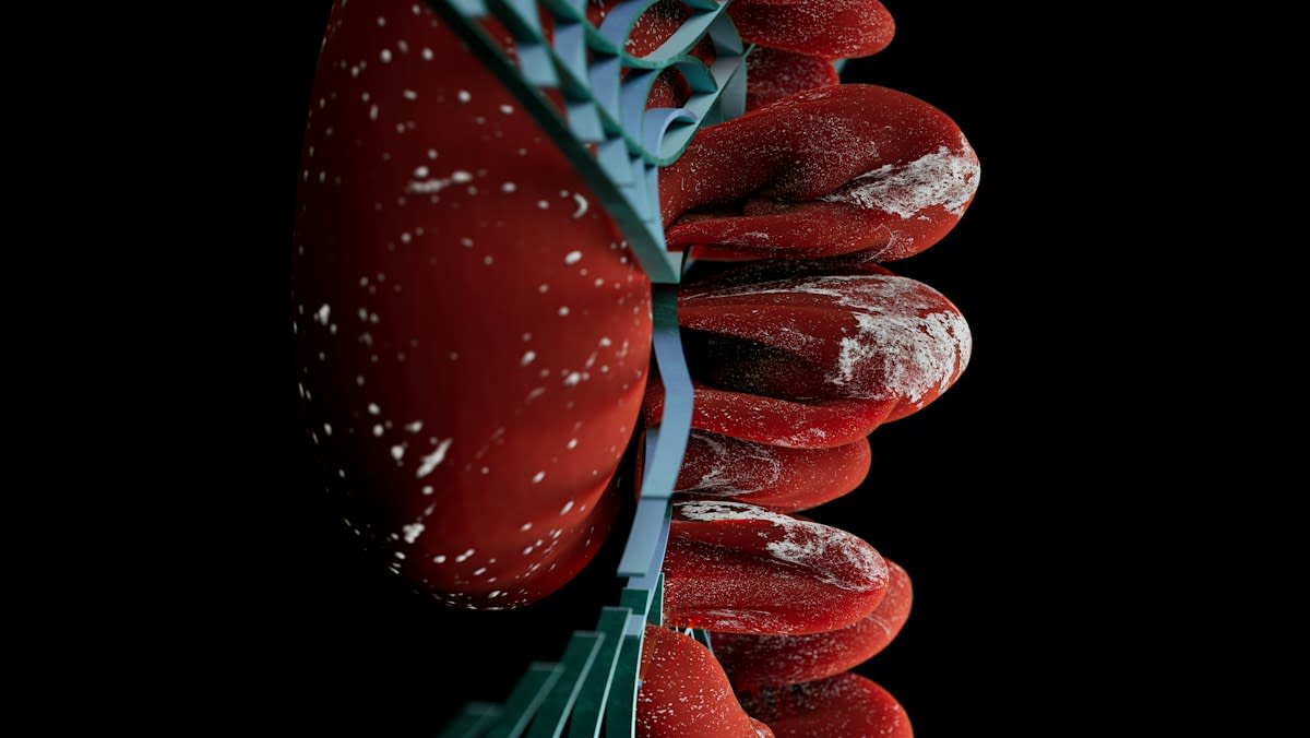 Molecular signaling pathway diagram of mTOR and PTEN