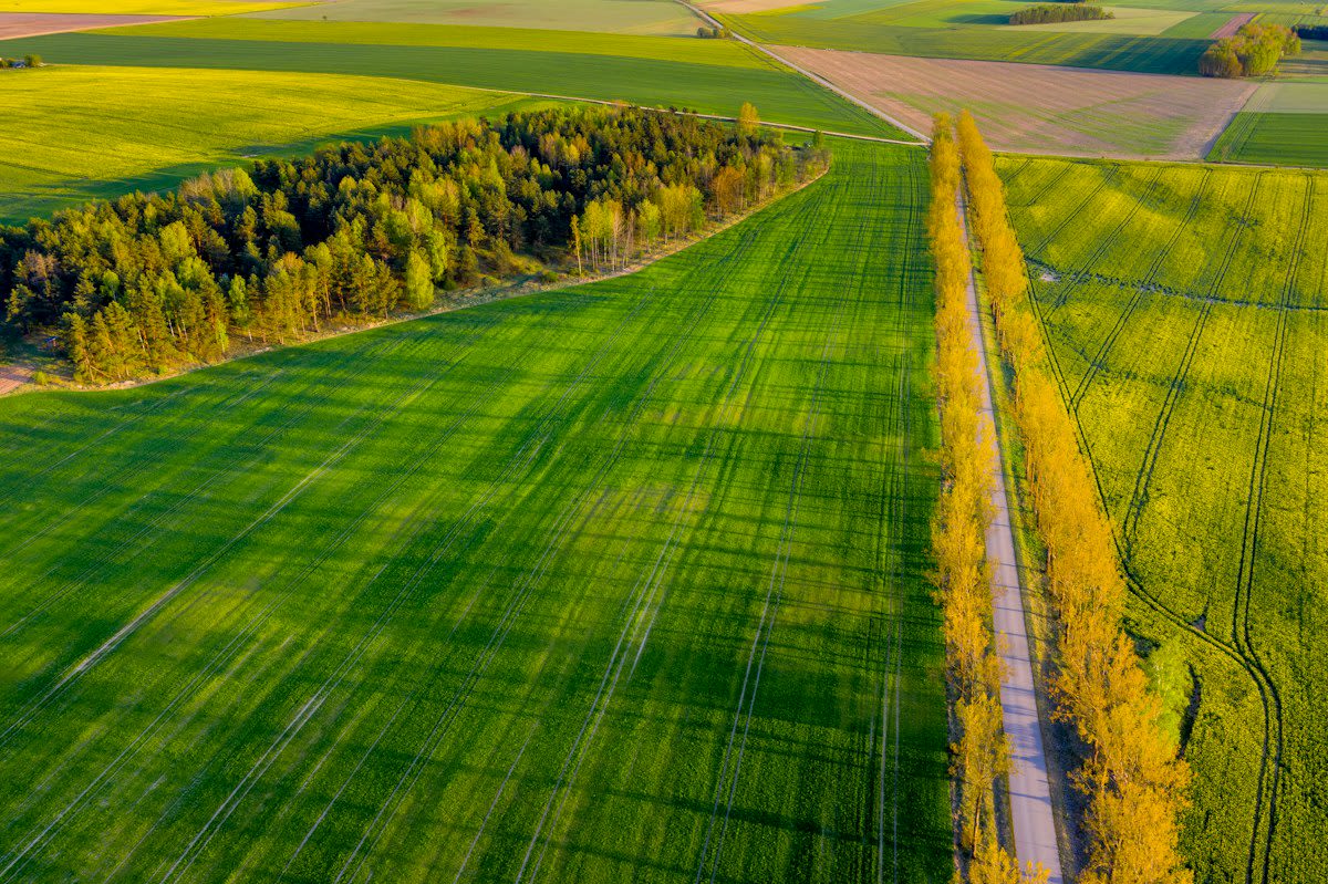 Aerial view of vast rural farmland