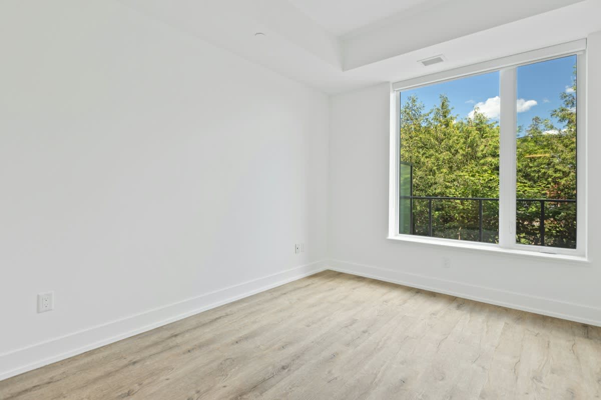 Minimalist empty room with natural light