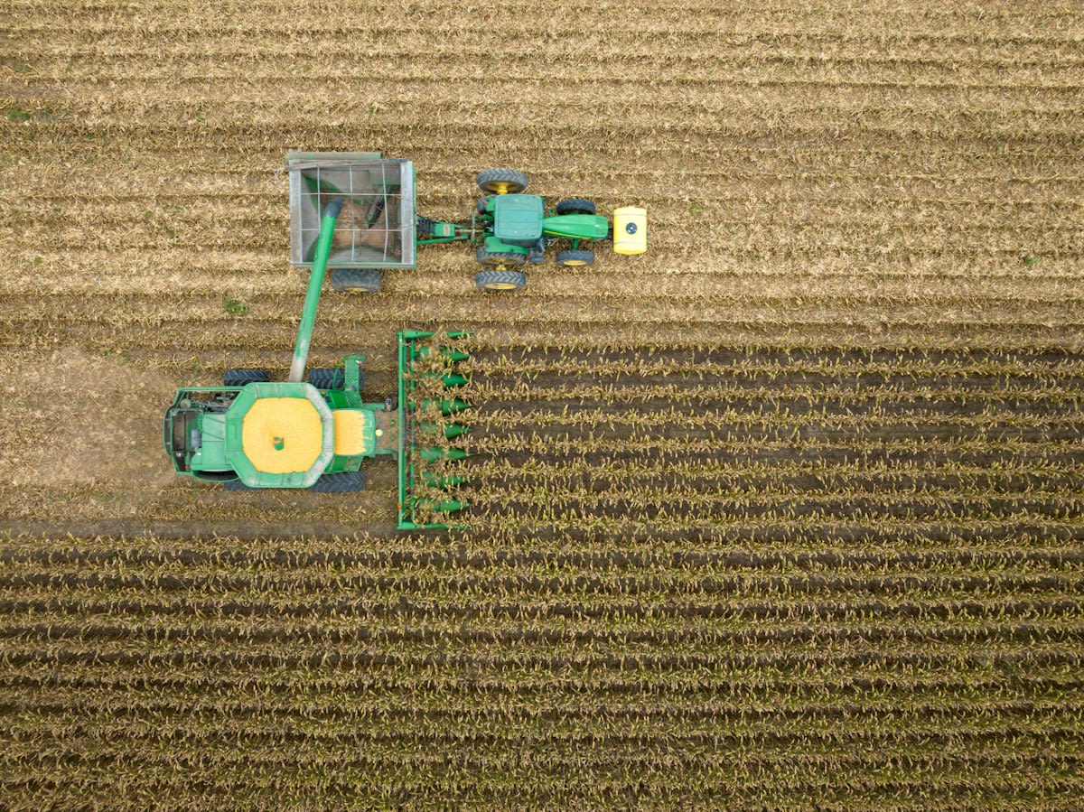 Digital farm simulation interface