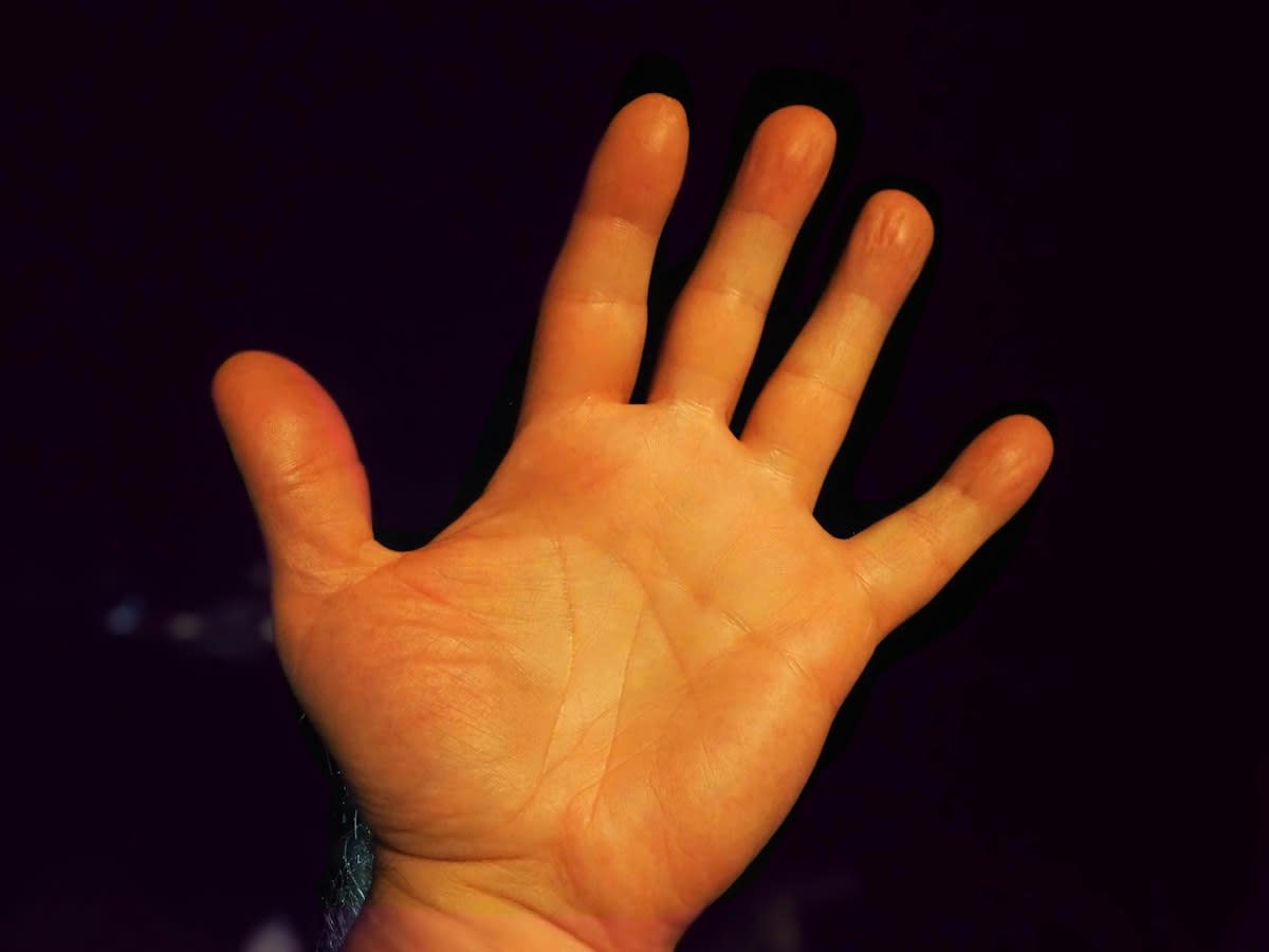 Digital fingerprint overlay on a human hand