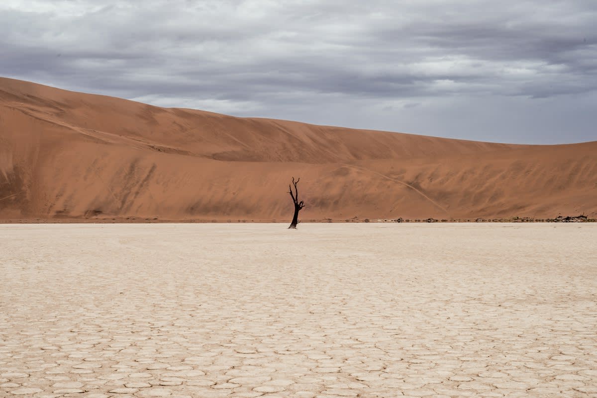 Dry Namibian desert landscape with sparse vegetation
