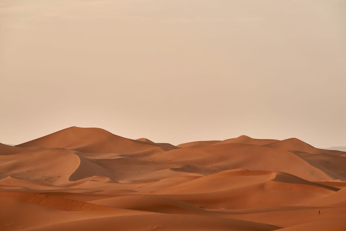 Sahara desert landscape