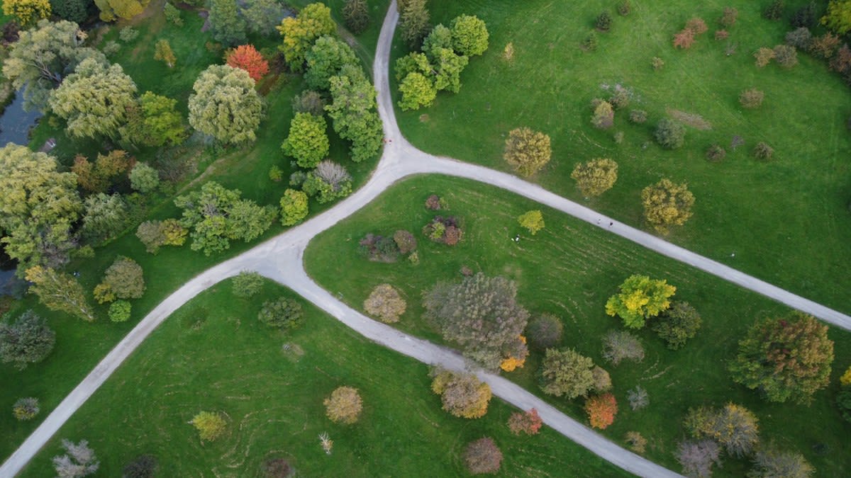 Urban park with winding paths and diverse plant life