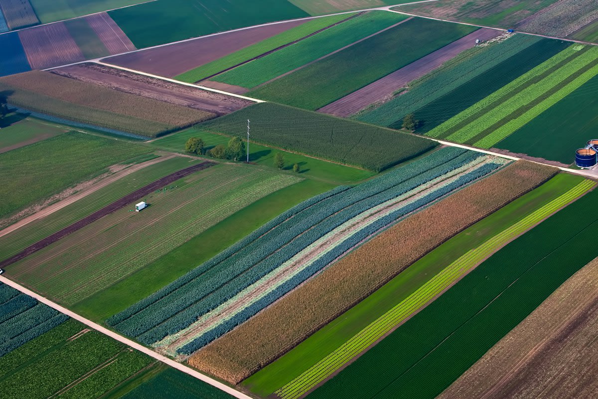 Soil salinity map showing different stress zones in a field