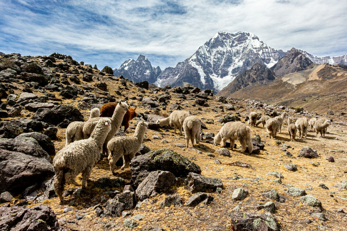 Andes mountains Peru