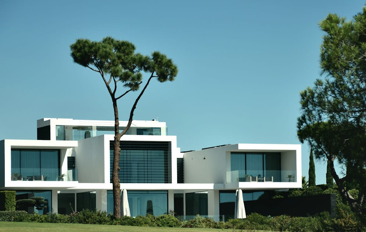 Modern minimalist architecture hidden by trees