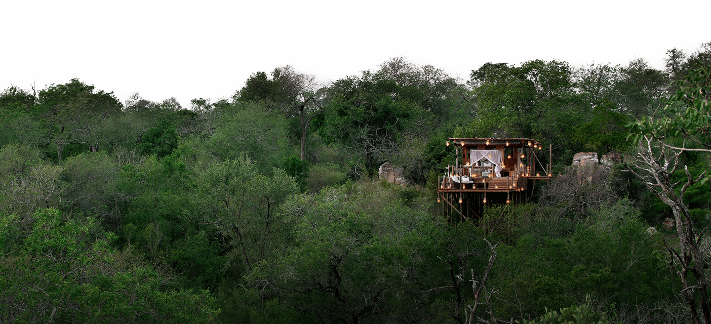 Showcase background image