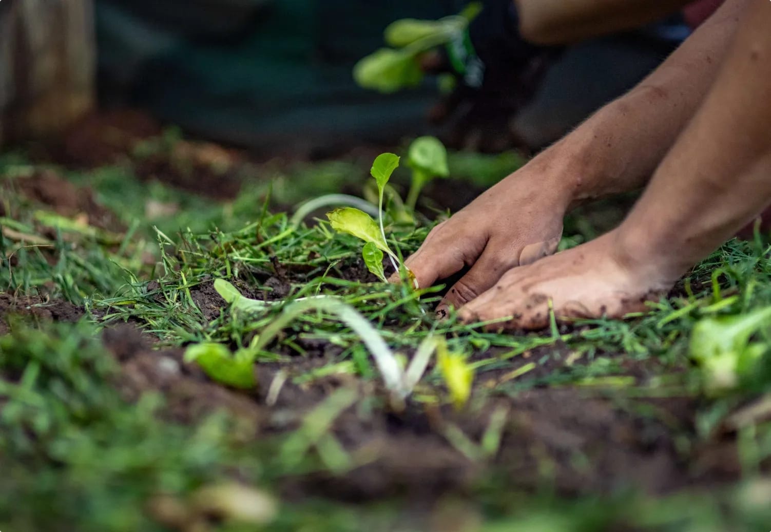 Impact Environmental Stewardship