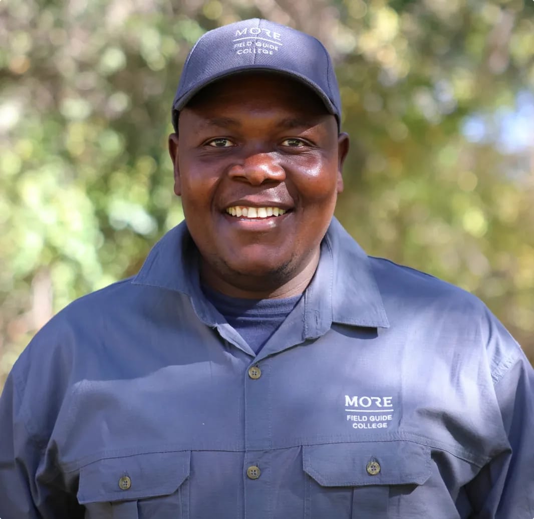 Impact Bricks Mabuza