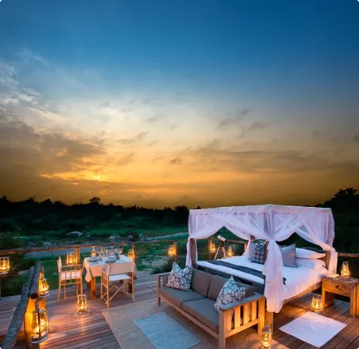 star gazing gallery1