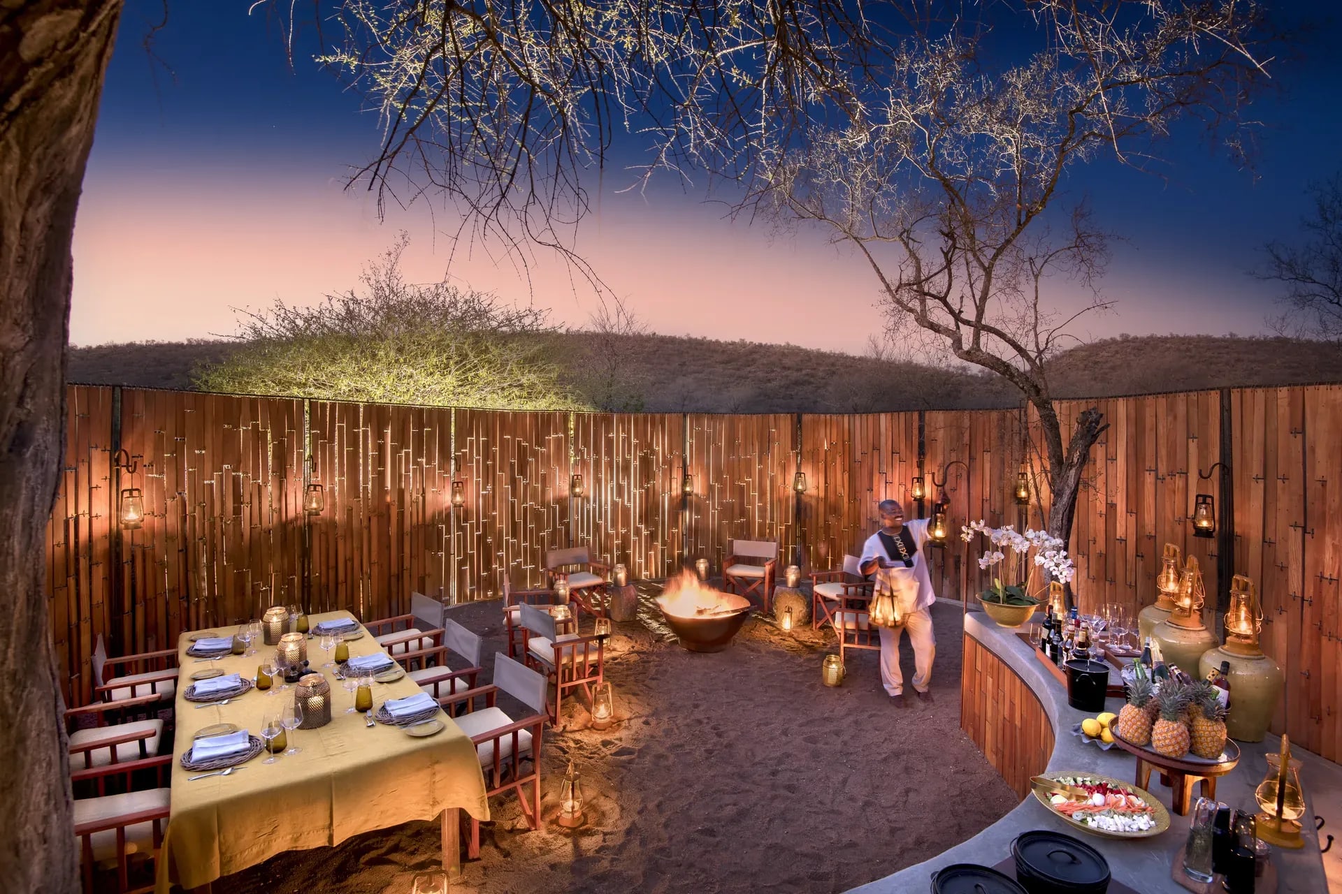 Bush Walks and Final Wildlife Encounters