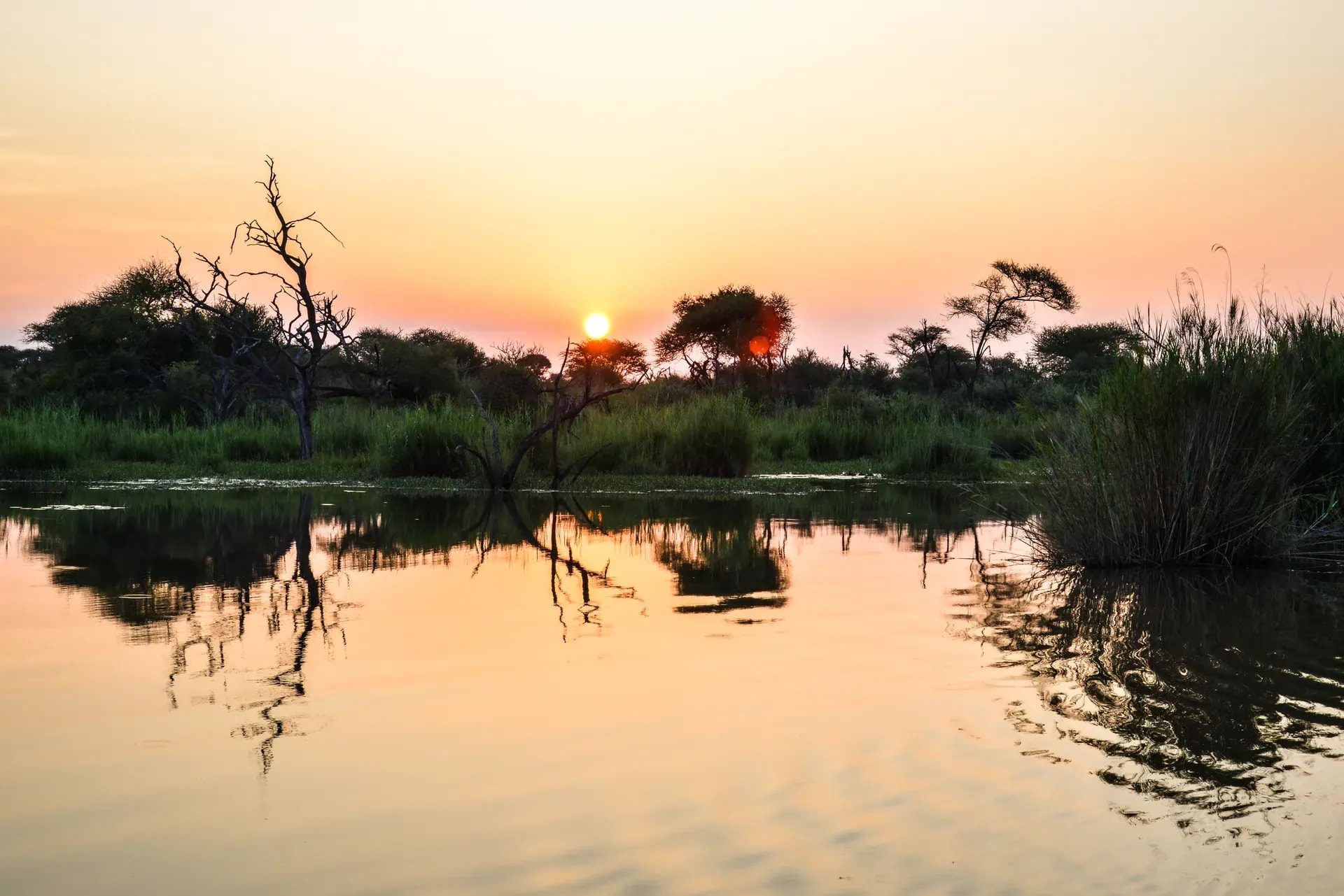 Tranquil river at sunset with reflections of trees and golden sky during a water safari