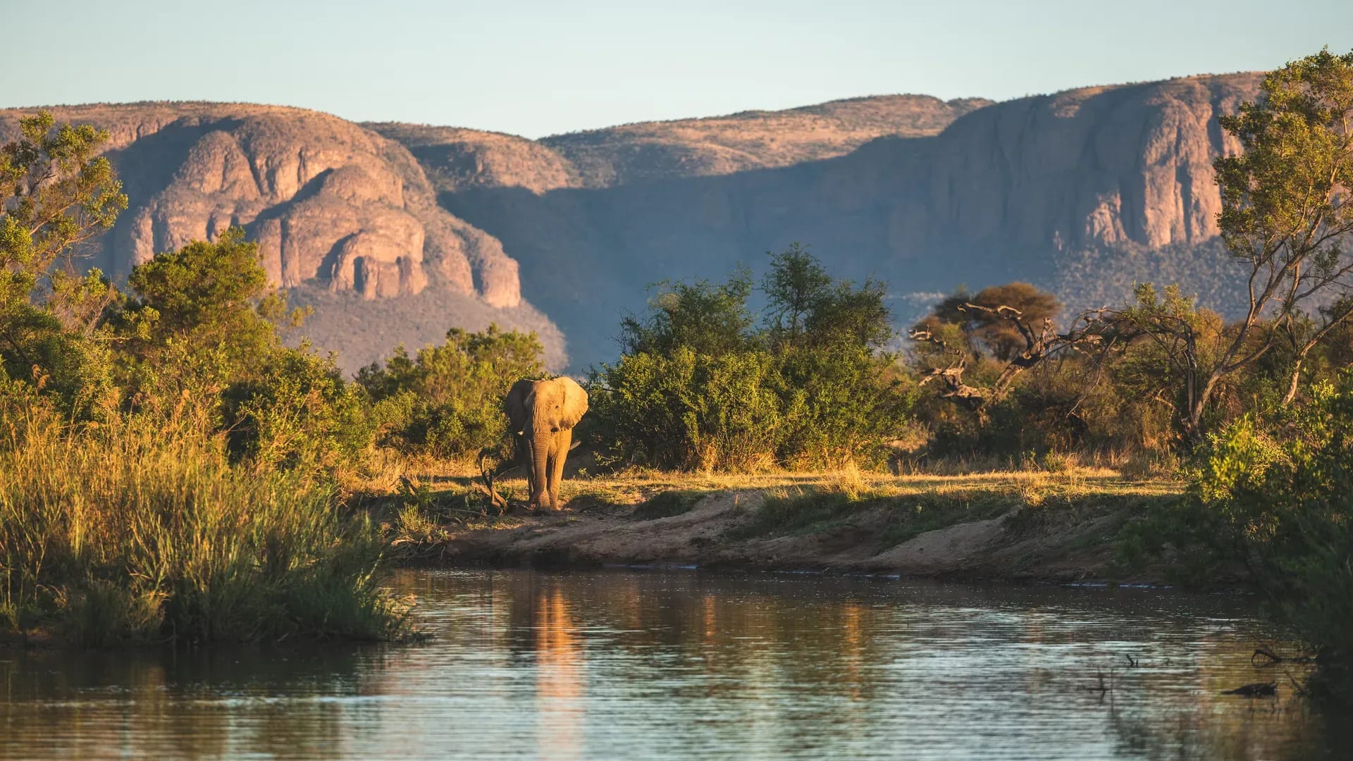 Kingfisher boat on calm river with mountains and trees in the background