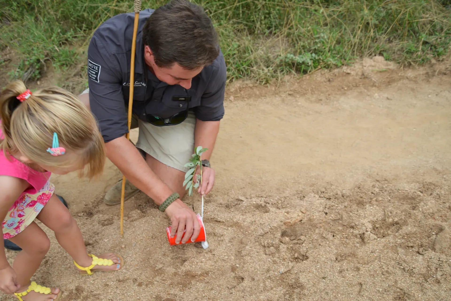 Main foreground image