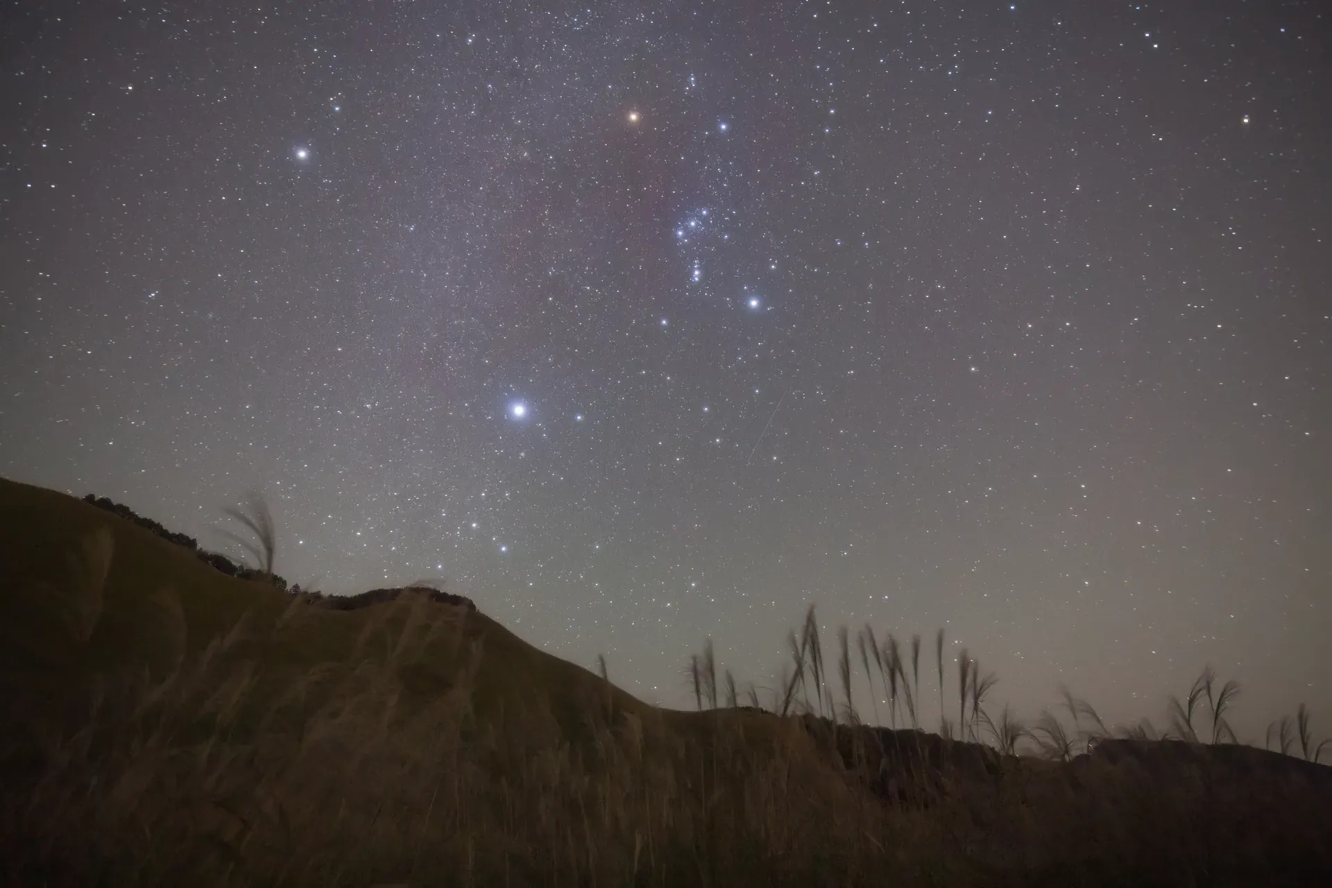 Stargazing in the African bush at Monwana Lodge.