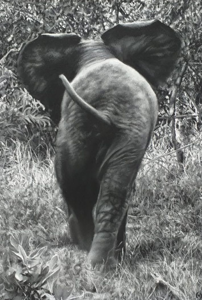 Harmony - carousel 1