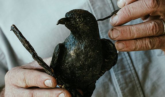 Artists Home - carousel 1