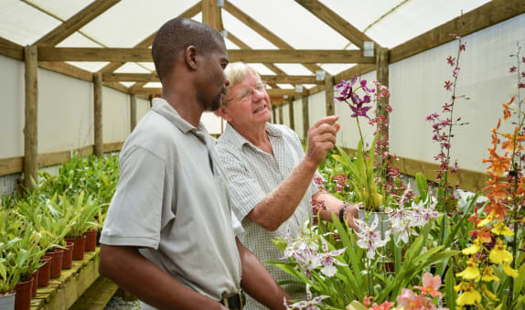 Allure of Orchids - carousel 2