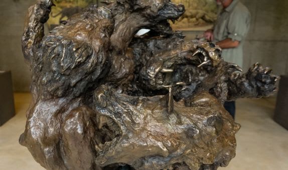 Blog post banner image