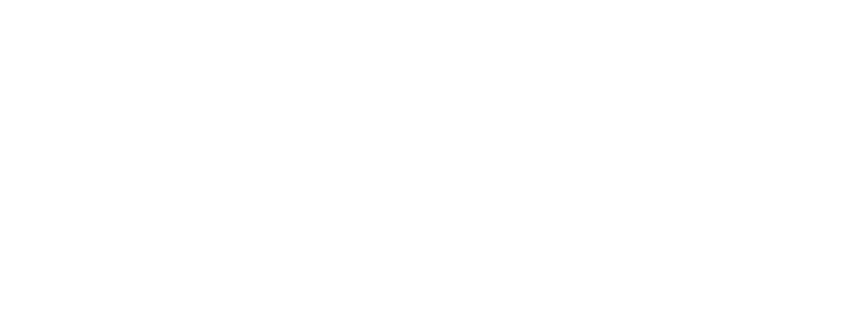 MORE collection logo_white (1)