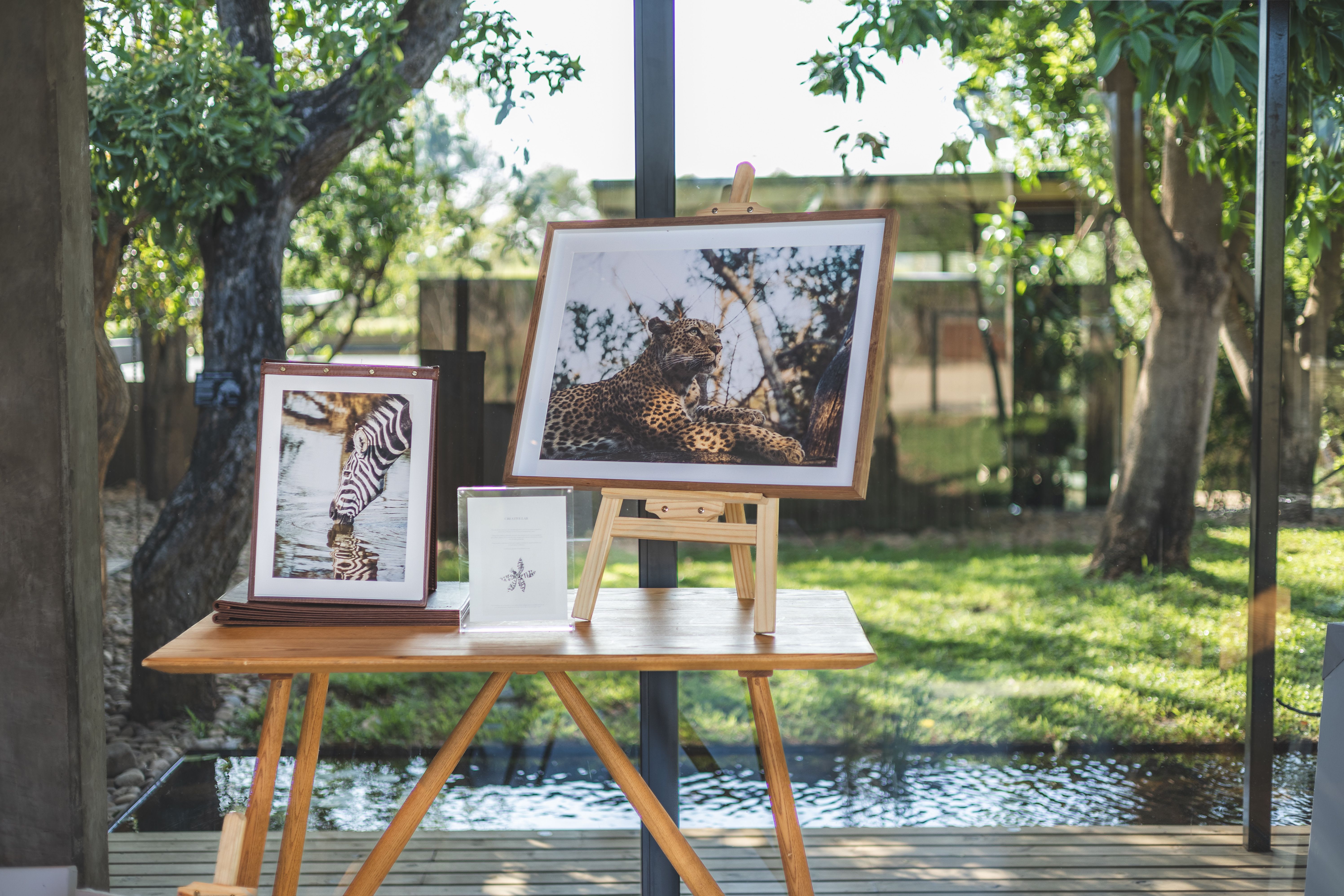 Main foreground image