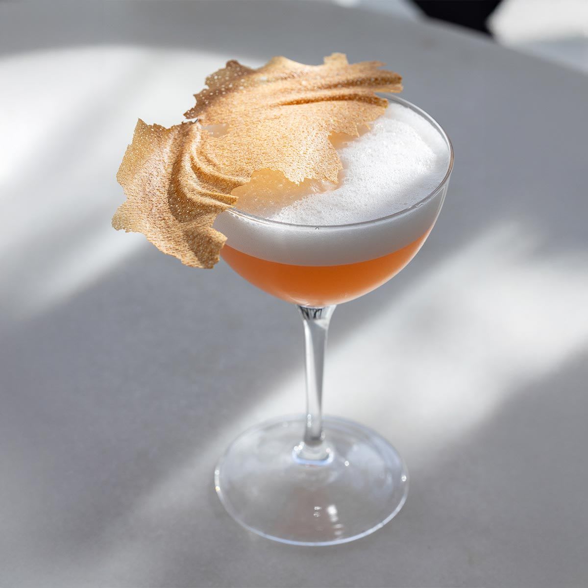 Main foreground image